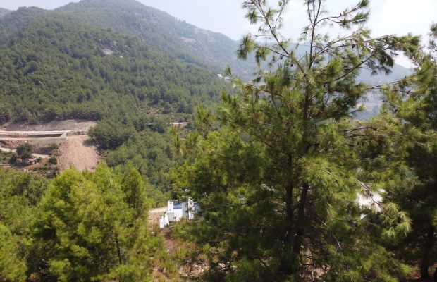 DJI_0838